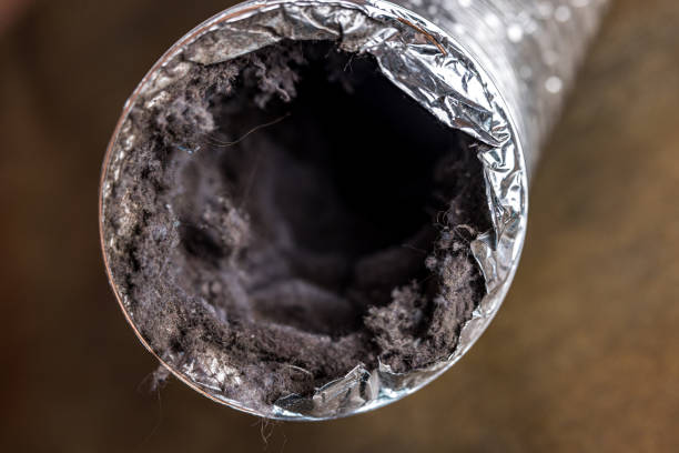 Best HVAC Duct Inspection Services  in Burns, TN